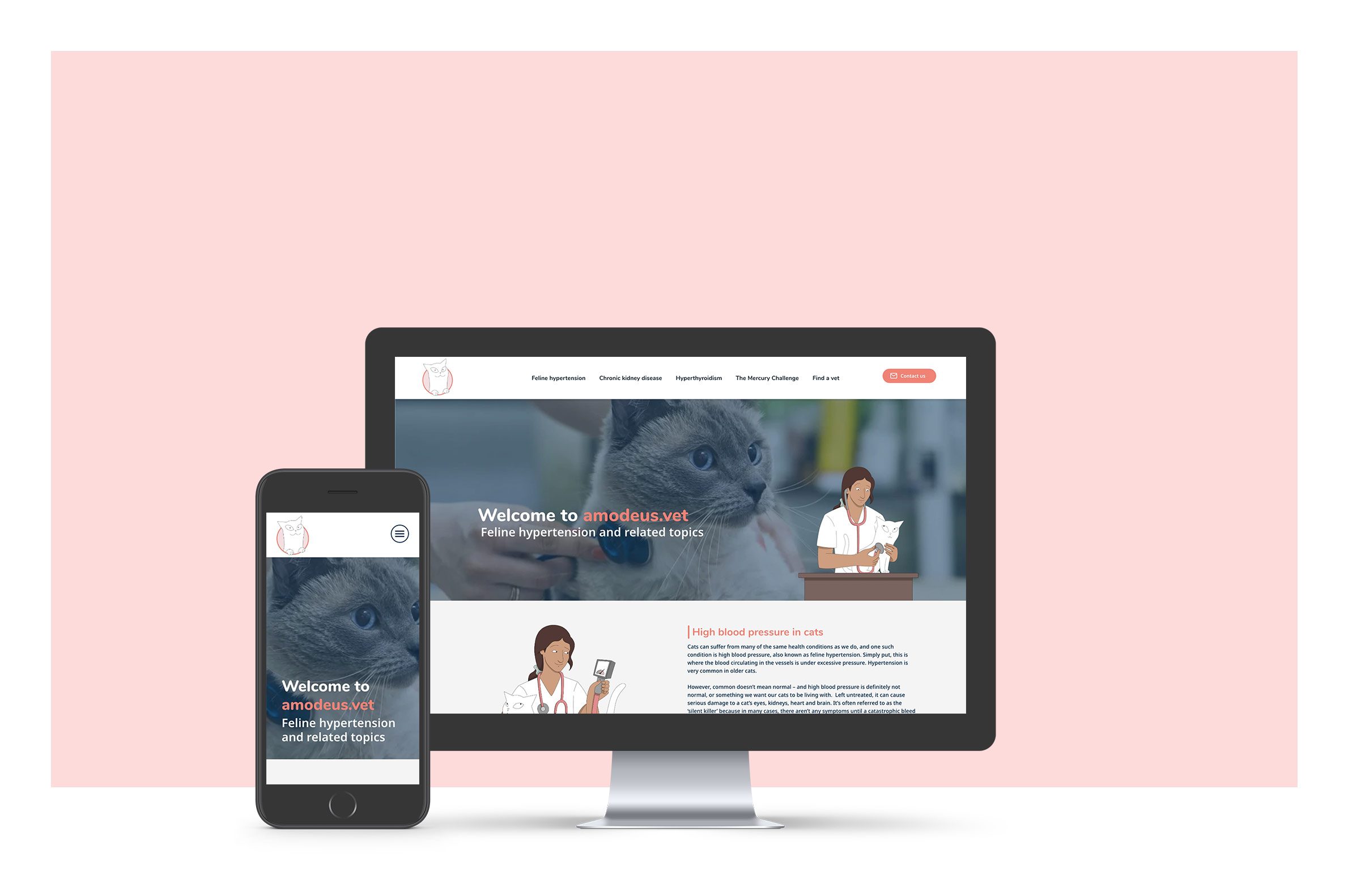site-web-amodeus-ceva