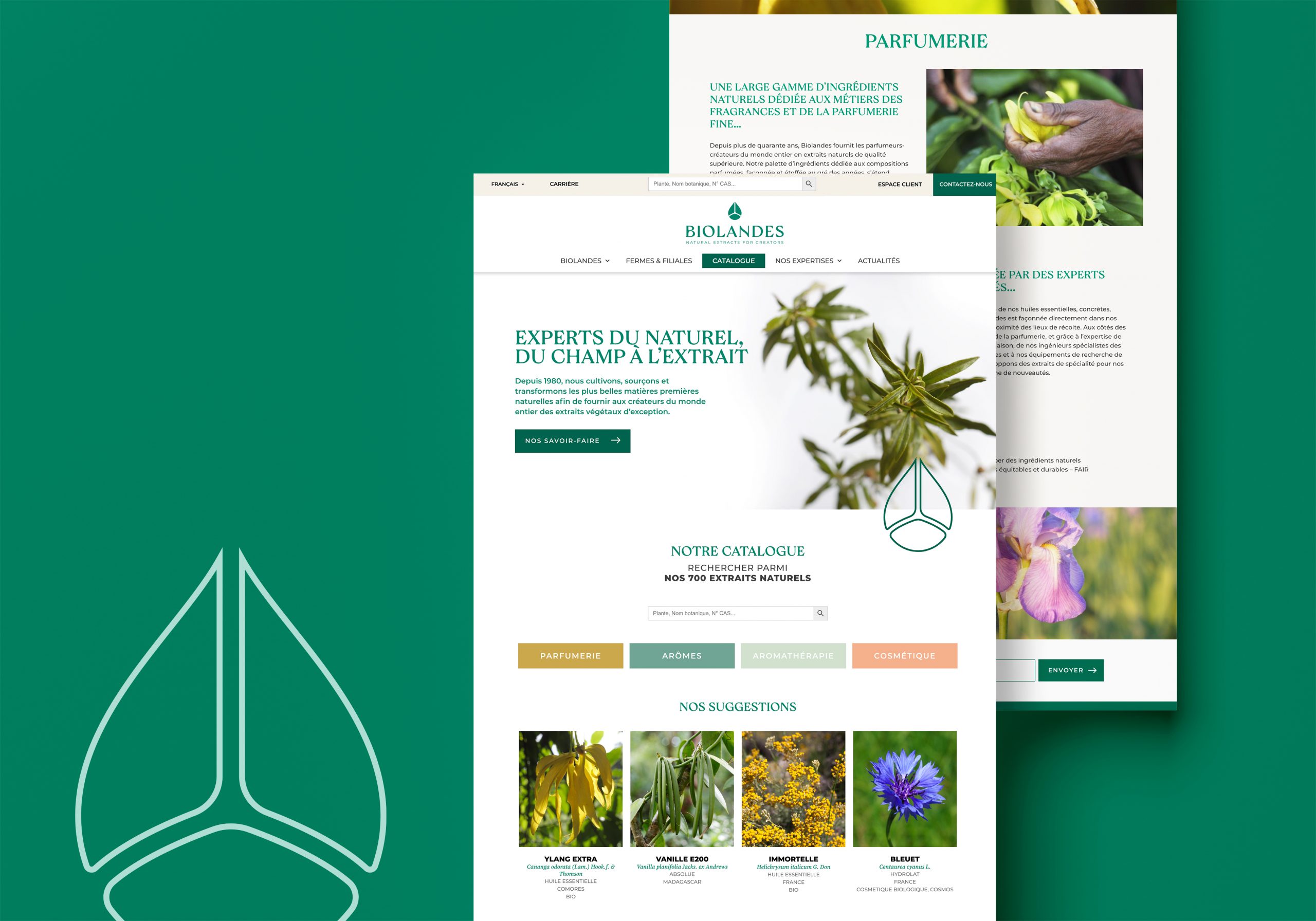 site-web-biolandes (1)